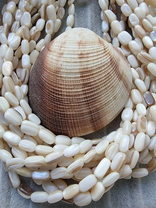 Oval Çubuk Sedef 10 x 5 mm