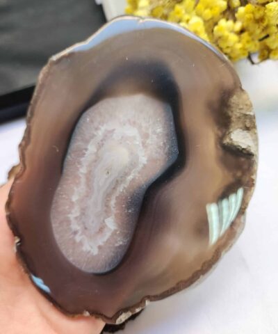 10 CM Kahve Dilim Akik Taşı