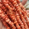 10 MM Şekilsiz Mercan Taşı