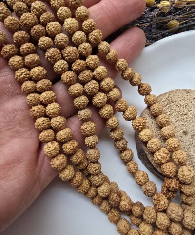 6 MM Rudraksha Doğal Boncuk