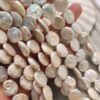14 Mm Mayorka Tatli Su İncisi 2