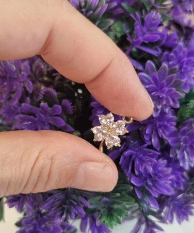 4 Yaprakli Sans Yoncasi Pudra