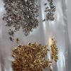 5x14 Mm Kuyumcu Papagan Klips 1