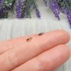 6x1 Mm Ara Halka Taki Malzemesi 3