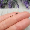 6x1 Mm Ara Halka Taki Malzemesi 4