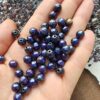 8 Mm Termal His Tasi 4