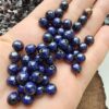 8 Mm Termal His Tasi 5