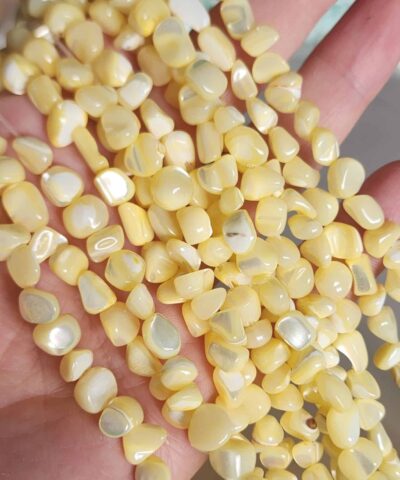 Amorf Disk Sedef Taslari 501