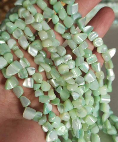 Amorf Disk Sedef Taslari 502