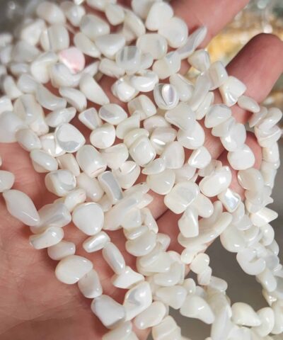 Amorf Disk Sedef Taslari 504