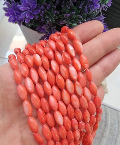 Arpa Renkli Sedef 503