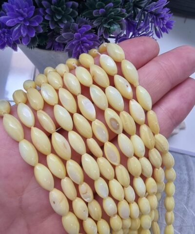 Arpa Renkli Sedef 504