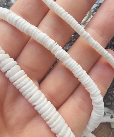 Beyaz Sedef Disk Boylari Dogal Sedef 2