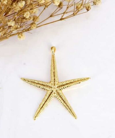 Buyuk Deniz Yildizi Altin Kaplama Kolye Ucu 2