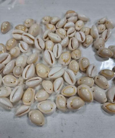 Çift Delikli Deniz Kabuğu Bileklik Malzemesi