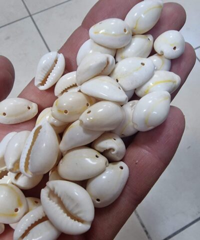 Cift Delikli Deniz Kabugu Bileklik Malzemesi