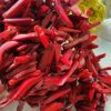 Cubuk Sekilli Dogal Mercan Tasi