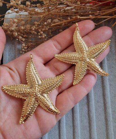 Deniz Yildizi Kolye Ucu 2 1