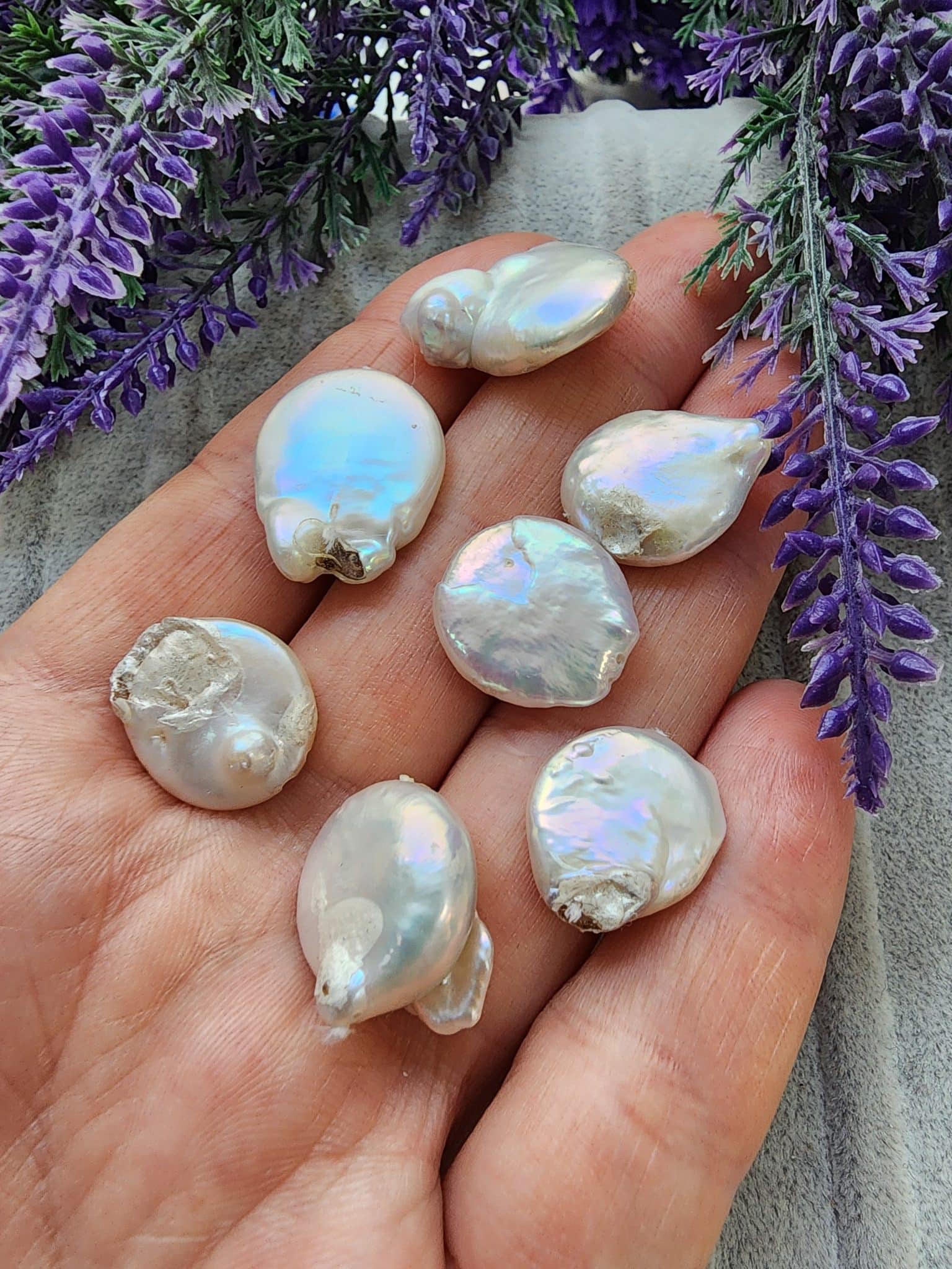 Dogal Mayorka İncisi 3