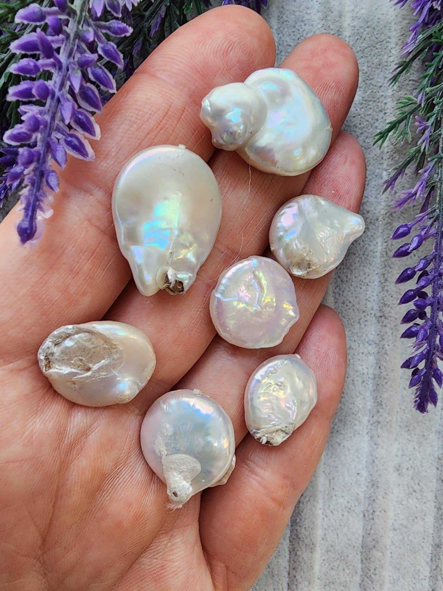 Dogal Mayorka İncisi