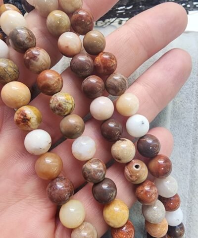 Fosil Mercan Taşı Dizi - 8 MM