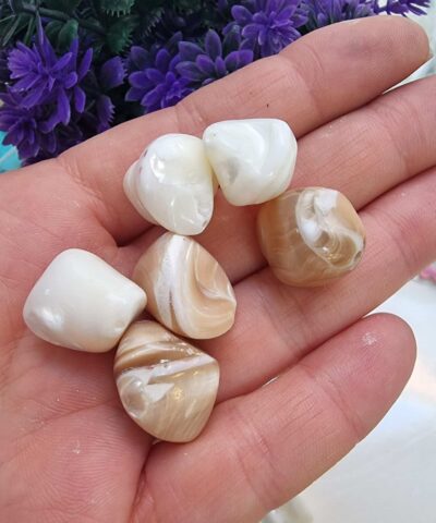 Ham Sekilsiz İnci Adet