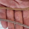 İc İce Halka Taki Zinciri 4 Mm 2
