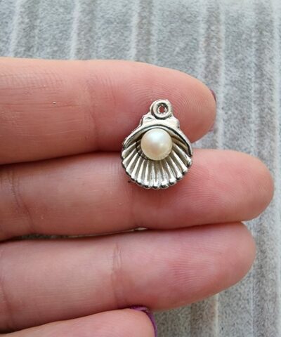 İncili Deniz Kabugu 501