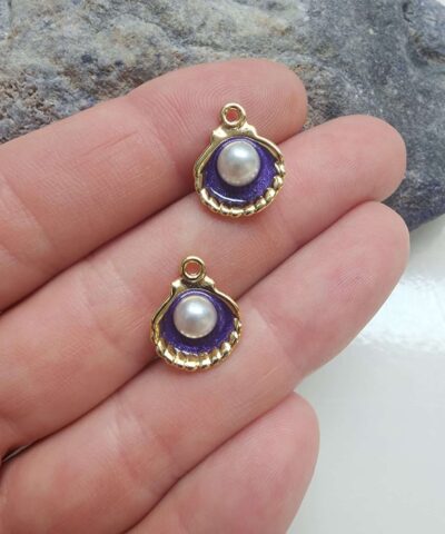 İncili Renkli Mineli Deniz Kabuğu - 505