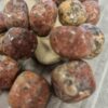 Jasper Tamburlanmis Dogal Tas 2