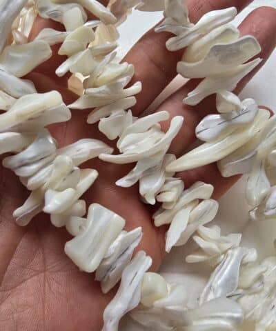 Kabuk Dogal Sedef 501