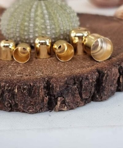 Kapson Taki Kapama Aparati 2