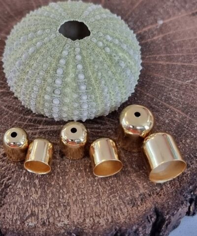 Kapson Taki Kapama Aparati 3