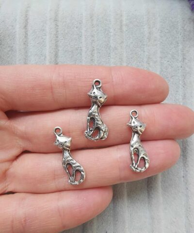 Kedi Carm Taki Sallanti Aparati 2