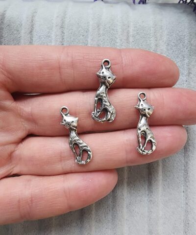 Kedi Carm Taki Sallanti Aparati 4