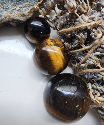 Kure Sekilli Kutle Kaplan Gozu Tasi 2