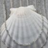Labradorit Faset Kesim 2 Mm Dogal Tas