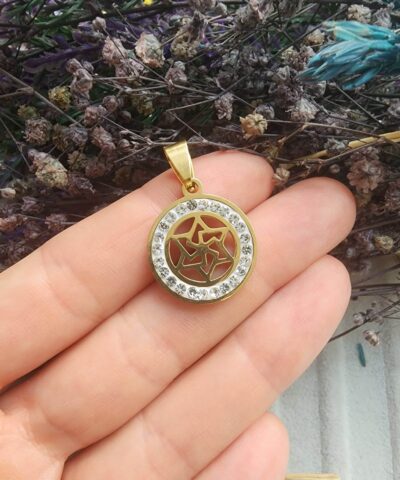 Lotus Yıldızı Zirkon Taşlı Çelik Kolye Ucu - 501