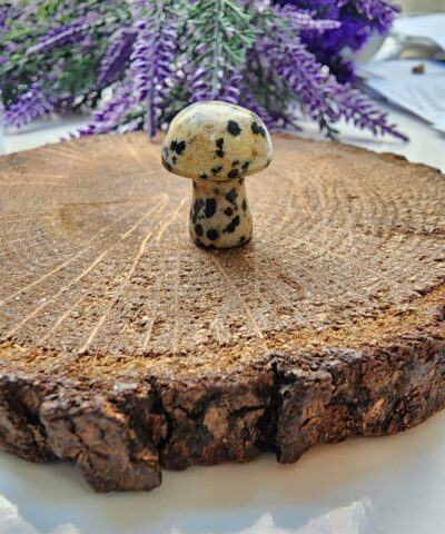 Mantar Benekli Jasper Tasi 2