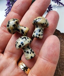 Mantar Benekli Jasper Doğal Taşı
