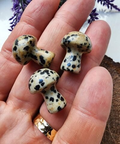 Mantar Benekli Jasper Doğal Taşı
