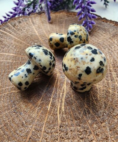 Mantar Benekli Jasper Tasi