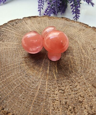 Mantar Gul Kuvars Dogal Tasi