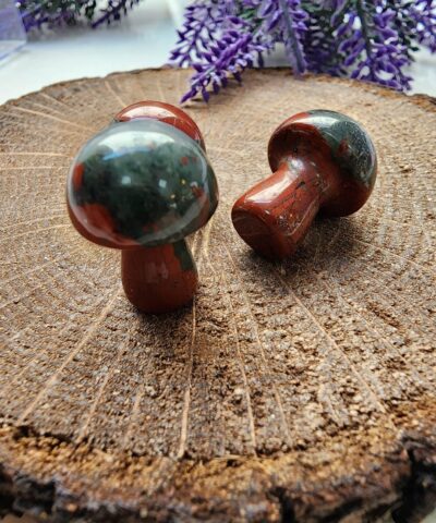 Mantar Kan Dogal Tasi 2