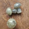 Mantar Labradorit Dogal Tasi