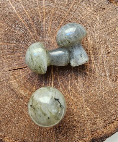 Mantar Labradorit Dogal Tasi 2