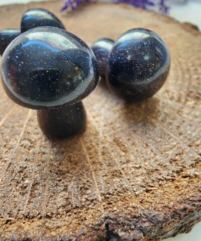 Mantar Laci Yildiz Dogal Tasi