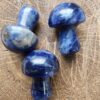 Mantar Lapis Tasi