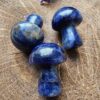 Mantar Lapis Tasi 2