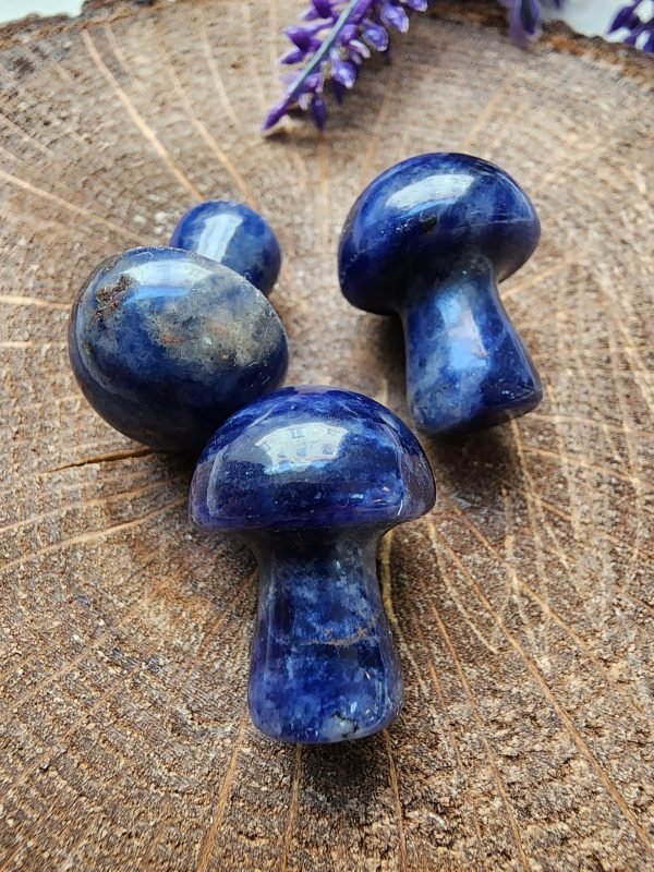 Mantar Lapis Doğal Taşı - Görsel 3